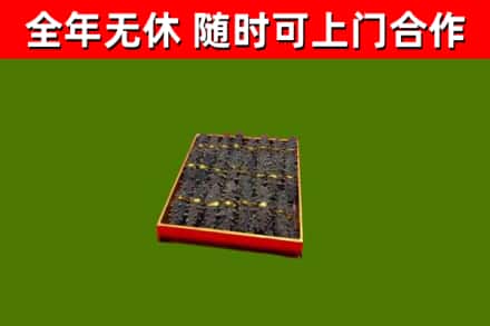 涡阳回收海参